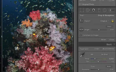 adobe-lightroom-tutorial-images-workflow.jpg.webp