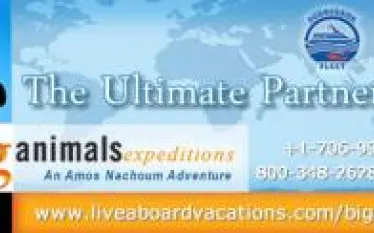 announce-x.jpg.webp