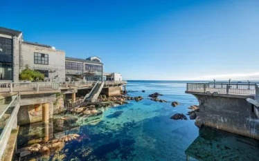 aquarium-diving-monterey-bay-great-tide-pool-.jpeg.webp