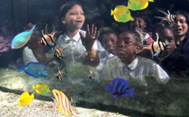 aquariumgrant_.jpg.webp
