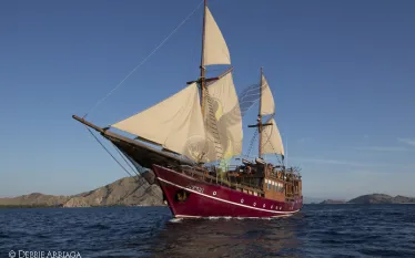 arenui_boatonly_.jpg.webp