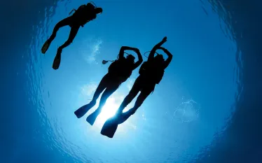 ask_the_experts_out_of_air_scd_curr_.jpg.webp