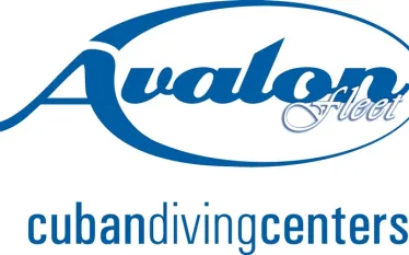 avalon-logo.jpg.webp