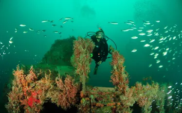 avoiding-nitrogen-narcosis.jpg.webp