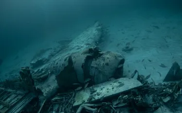 bahamas-allstar-airplane-wreck-.jpg.webp