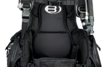 bare-blackjack.jpg.webp