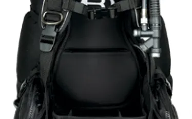 bare-blackwing.jpg.webp
