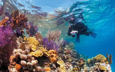 belize_dive_o_clock_somewhere_becky_kagan_schott_teaser.jpg.webp