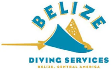 belizedivingservices.jpg.webp