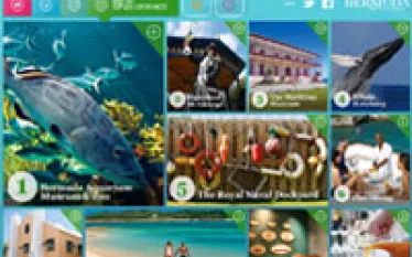 bermuda_topsidediversions-thumb.jpg.webp