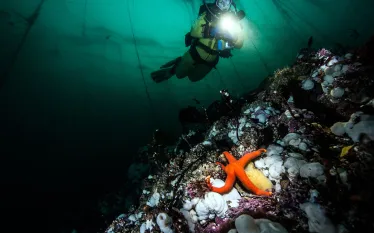 best-advanced-diving-north-america.jpg.webp