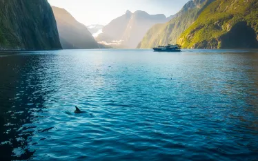 best-dives-new-zealand-milford-sound-.jpg.webp