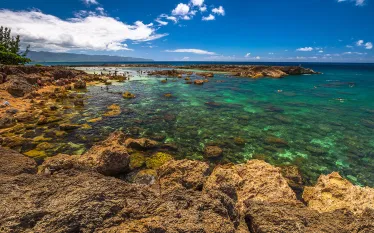 best-shore-diving--readers-choice-awards.jpg.webp