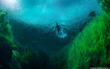 best_freshwater_diving_australia_pacific_and_indian.jpg.webp