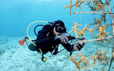 bonaire-buddy-dive.jpg.webp