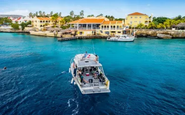 buddy_dive_digital_article_x_image.png.webp