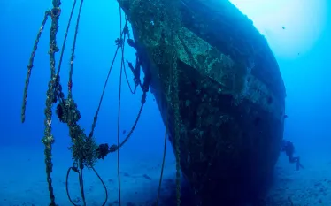 carthaginian-shipwreck-maui-lahaina-hawaii.jpg.webp