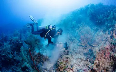 cayman.jpg.webp