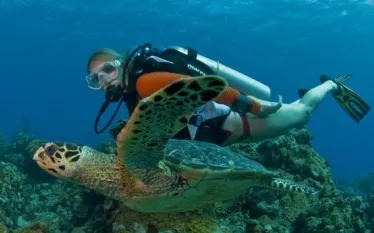 cayman_islands.jpg.webp