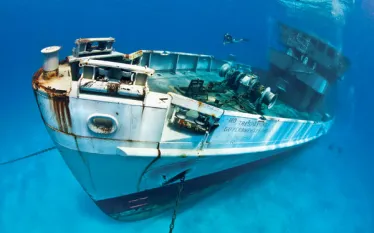 caymanmain.jpg.webp