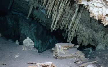 centoes-underwater-video.jpg.webp