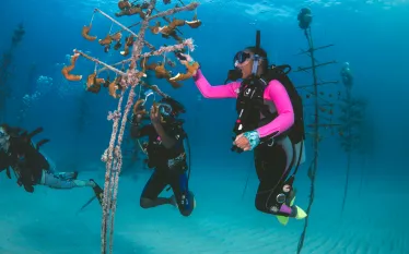 citizen-science-florida-keys-crf-nursery_.jpg.webp