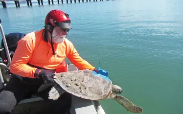 colin-limpus-turtle-release-nov--seahero.jpg.webp