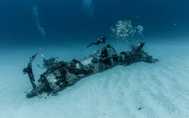 copy_of_--_birthday_dive_.jpg.webp