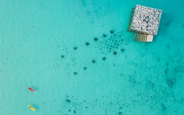 coralarium-courtesy-fairmont-maldives-sirru-fen-fushi.png.webp