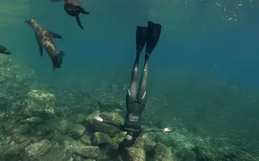 cressi_freedive_video_mexico_.jpg.webp