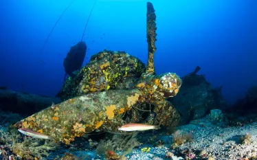 croatia-wrecks-b-liberator-plane-closeup-franco-banfi-.jpg.webp