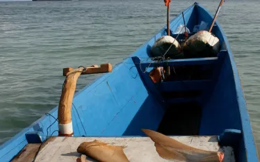 daramboat.jpg.webp