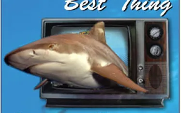 df-tv_px.jpg.webp