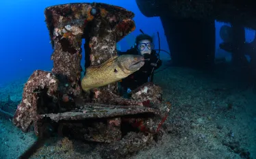 dive-dine-oahu-hawaii-navy-tug-mondle.jpg.webp