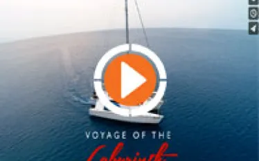 dive-thumbnail-video.jpg.webp