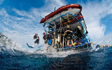 dive.jpg.webp