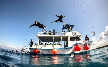 dive_paradise_rca_digital_article_images_x_image.png.webp