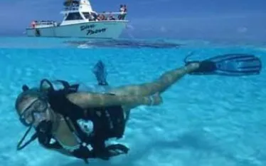 dive_provo_picture.jpg.webp
