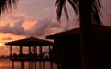 divedeals_.jpg.webp