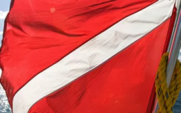 diveflag.jpg.webp