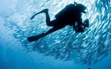 divequest-martin-edge.jpg.webp