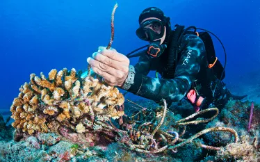 diver-with-coral-claudio-contreras.jpg.webp