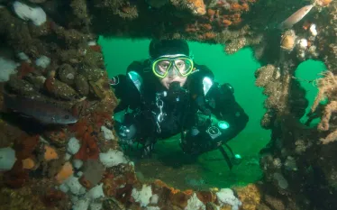 diver_wreck_uss-sandiego.jpg.webp