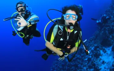 divers-x.jpg.webp