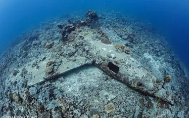 diving-solomon-islands-wildcat-fighter-plane-wz-d-brandon_cole_web_version.jpg.webp