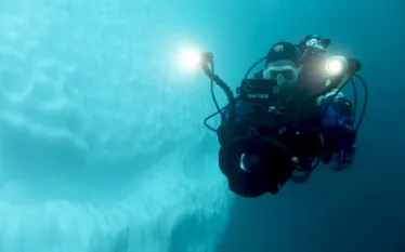 divingunderice_szilviagogh.jpg.webp