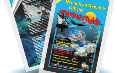 dr_dive_guide_.png.webp