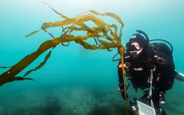 drysuit-diver-kelp-jennifer-idol.jpg.webp