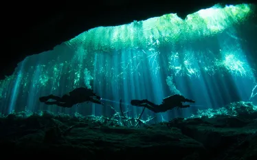 eden-cenote-brandi-mueller.png.webp