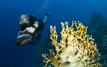 epic-scooter-dives-shutterstock_.jpg.webp